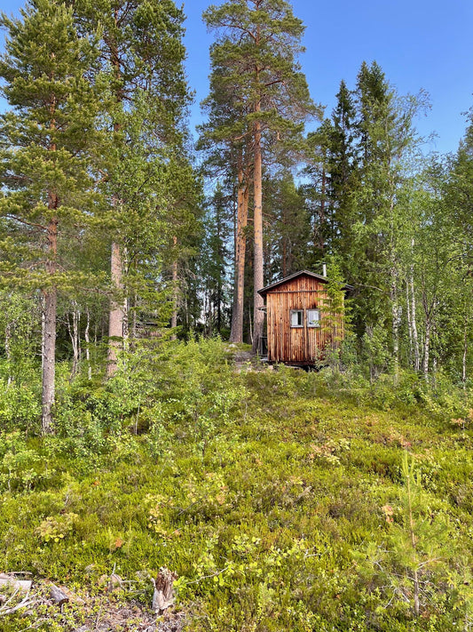 Ringsjön isthmus (3 beds)