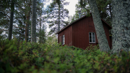 Tjäreholmen (6 bäddar)